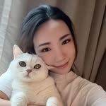 Kayly AI